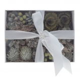 776488 Изделие декоративное "Новогодняя композиция", L20 W15 H9 см